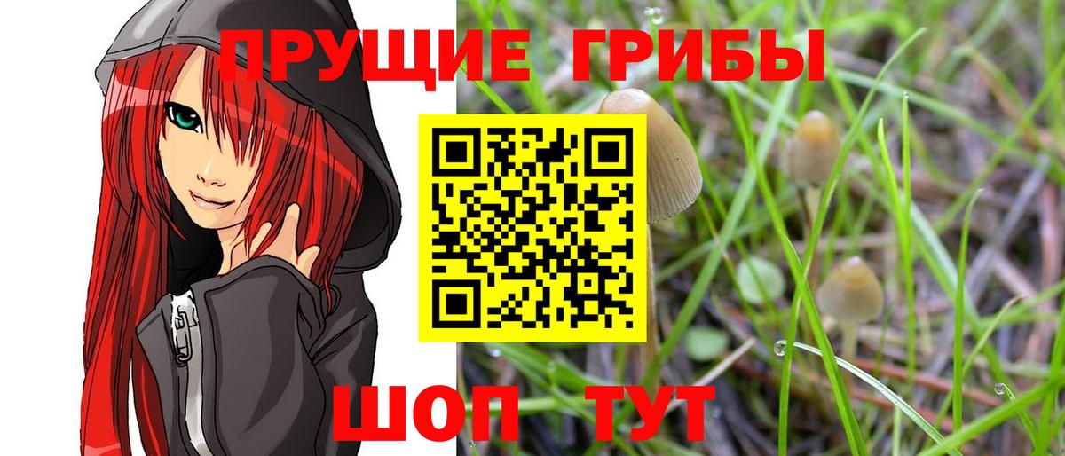 Галлюциногенные грибы Psilocybe  Вход с VPN  Чита 