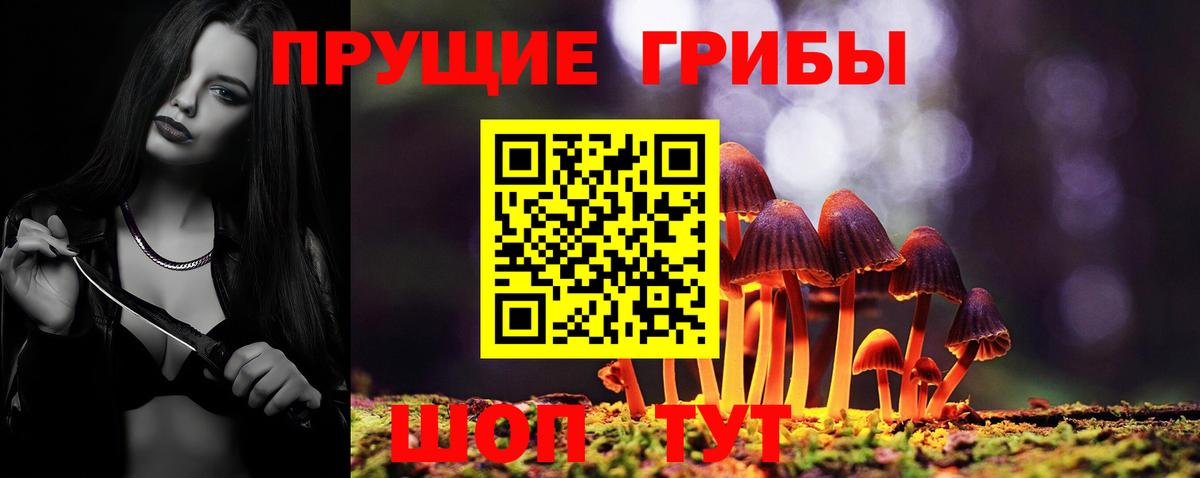 Псилоцибиновые грибы Psilocybe Чита